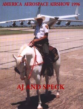 ajplane.jpg (22343 bytes)