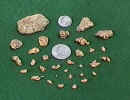 gcnuggets.jpg (20008 bytes)